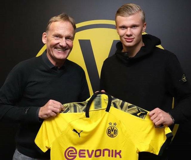 模拟实战的 模拟实战的